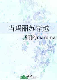 《当玛丽苏穿越》