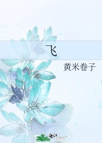 《飞》
