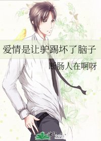 爱情是让驴踢坏了脑子