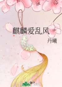 《麒麟爱乱风》