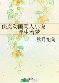 《侠岚动画同人--浮生若梦》