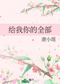 《给我你的全部》