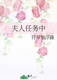 夫人任务中