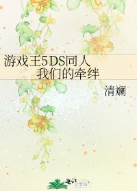 游戏王5DS同人 我们的牵绊