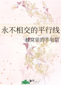 《永不相交的平行线》