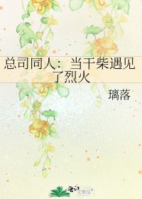 《总司同人:当干柴遇见了烈火》
