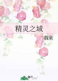 《精灵之域》