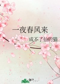 《一夜春风来》