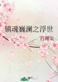 《镇魂巍澜之浮世》