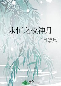 《永恒之夜神月》