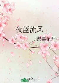 《夜蓝流风》