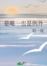 《是唯一也是例外》