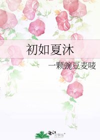 《初如夏沐》