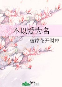 《不以爱为名》