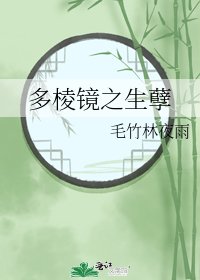 《多棱镜之生孽》