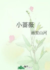 小蔷薇