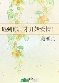 《遇到你,才开始爱情!》