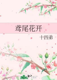 《鸢尾花开》