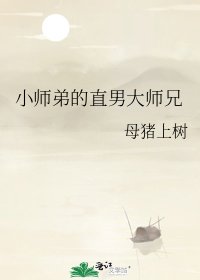 《小师弟的直男大师兄》