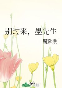 《别过来,墨先生》