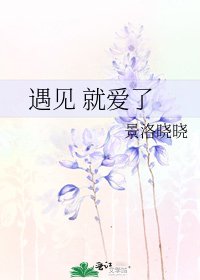《遇见 就爱了》