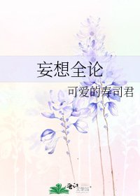 《妄想全论》