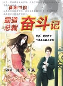 霸道总裁奋斗记
