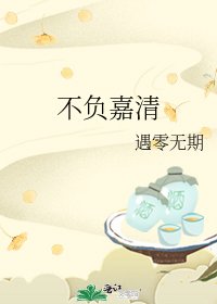 《不负嘉清》