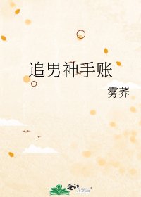 《追男神手账》