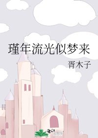《瑾年流光似梦来》