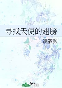 《寻找天使的翅膀》
