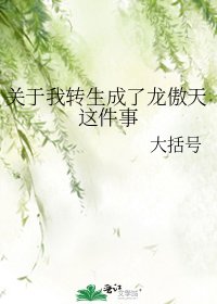 《关于我转生成了龙傲天这件事》