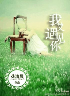 一见倾心，一生不离/我又遇见你