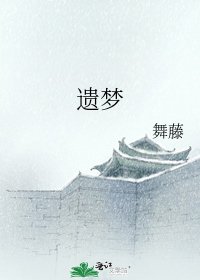 《遗梦》