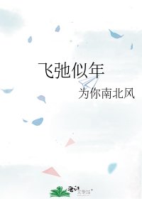 《飞弛似年》