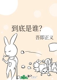 《到底是谁?》