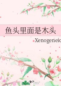 《鱼头里面是木头》