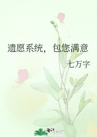 《遗愿系统,包您满意》