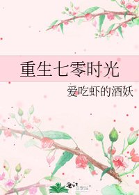 《重生七零时光》