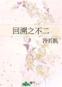 《回溯之不二》