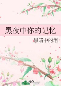 《黑夜中你的记忆》