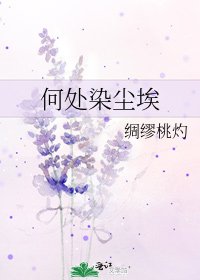《何处染尘埃》