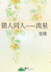 《猎人同人——流星》