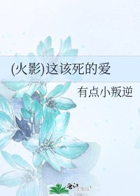 《(火影)这该死的爱》