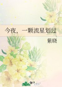 《今夜,一颗流星划过》