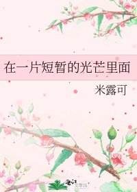 《在一片短暂的光芒里面》