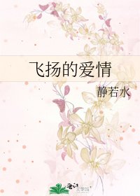 《飞扬的爱情》