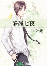 《静静七夜》