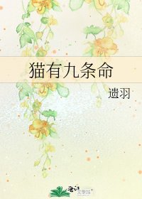 《猫有九条命》