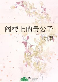 《阁楼上的贵公子》